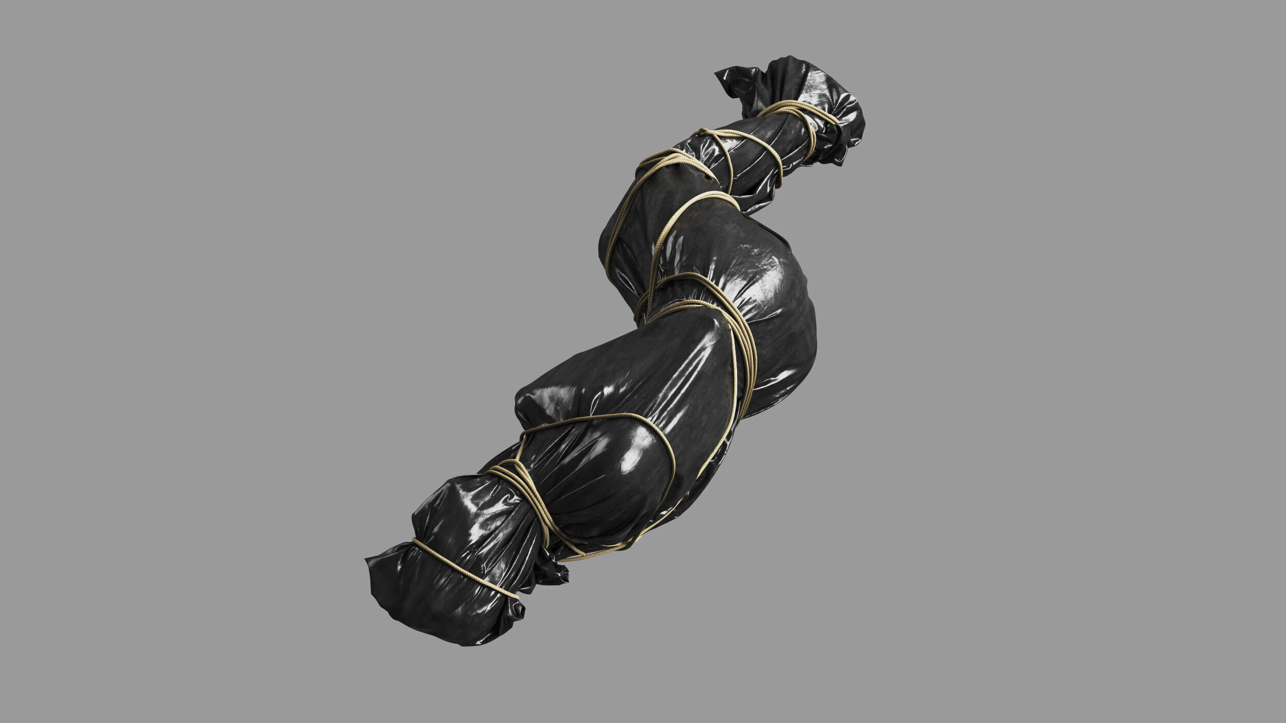 Covered Corpse 11 b 3D model_6