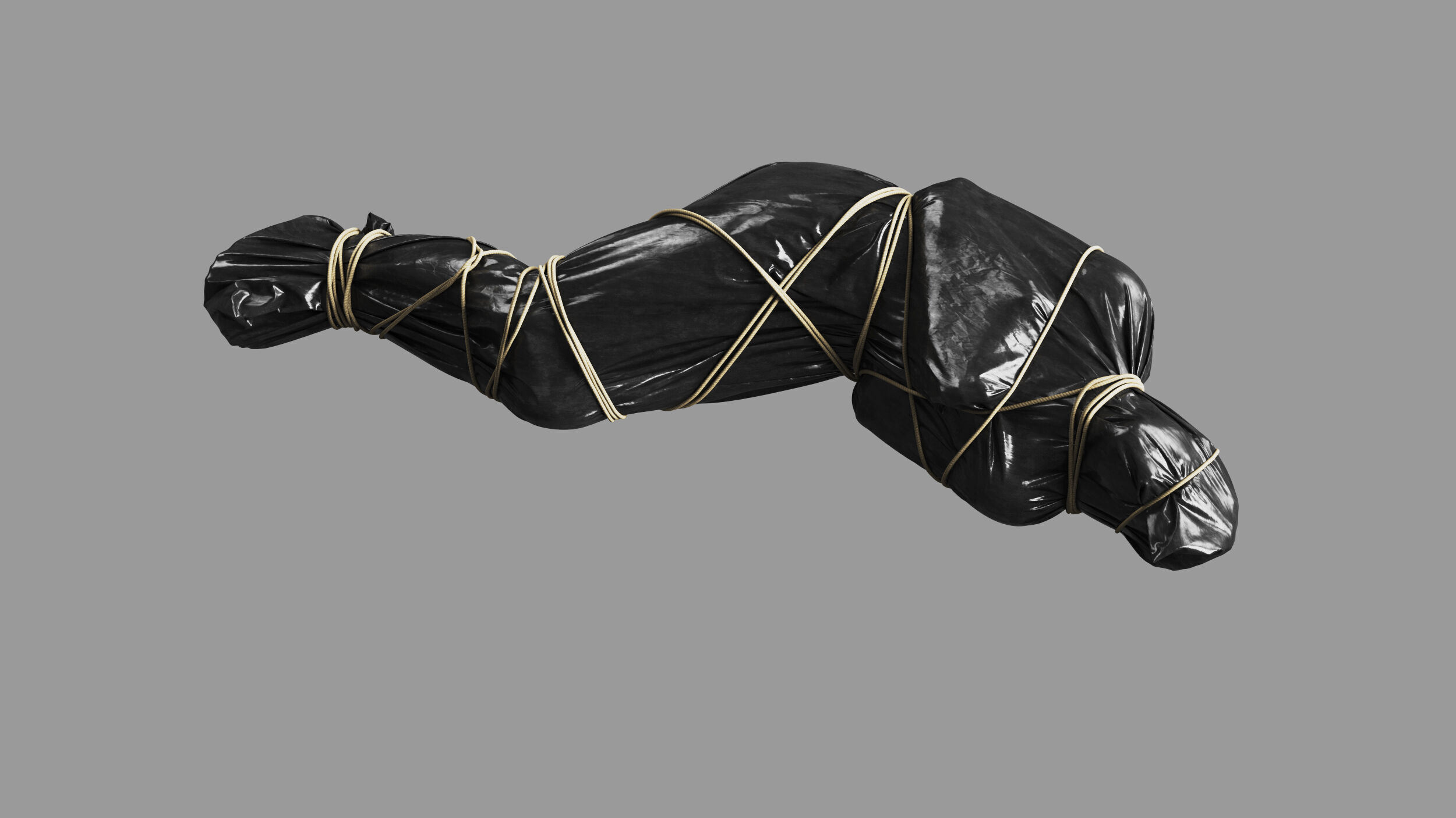 Covered Corpse 11 b 3D model_8