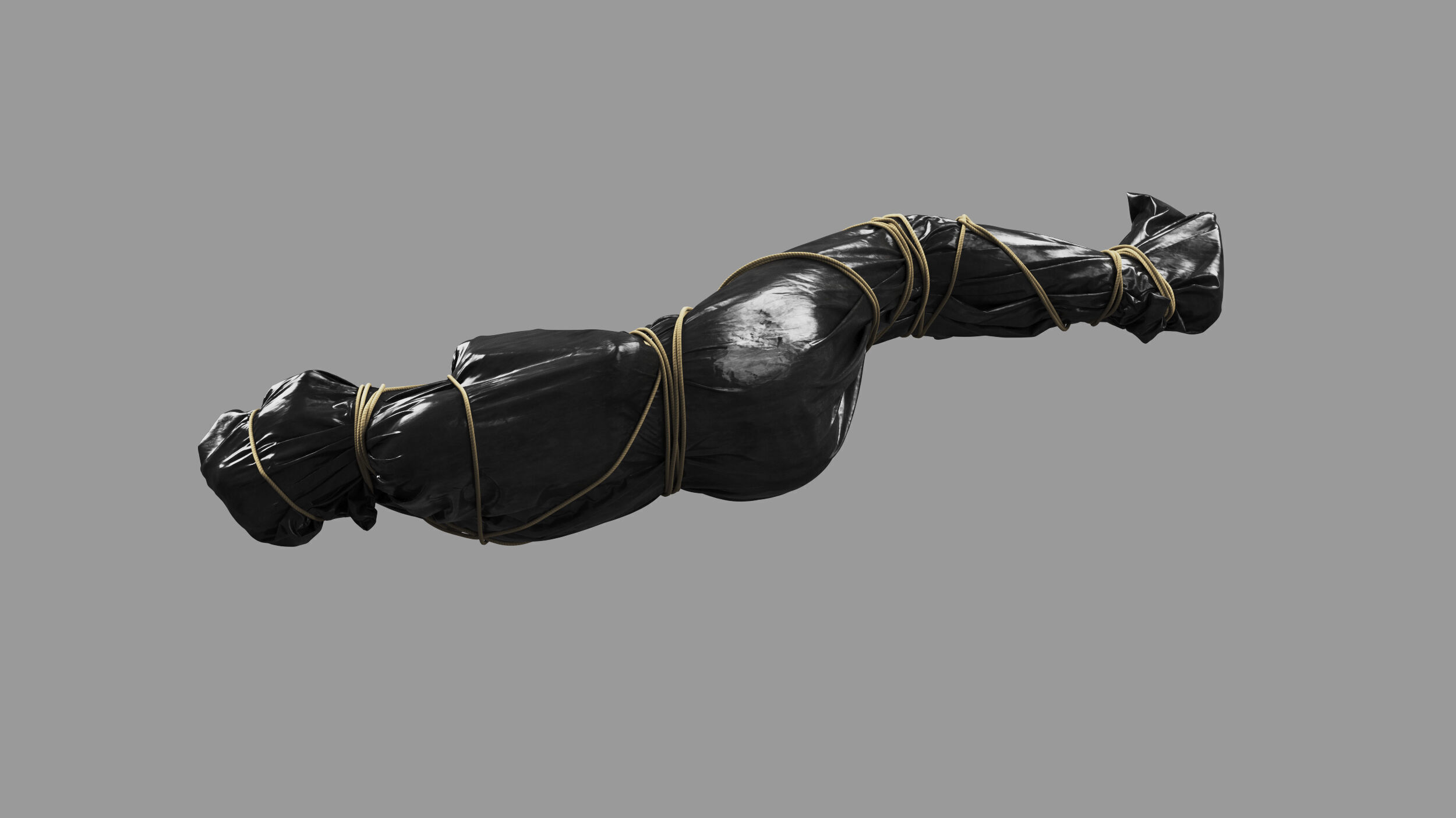 Covered Corpse 11 b 3D model_5