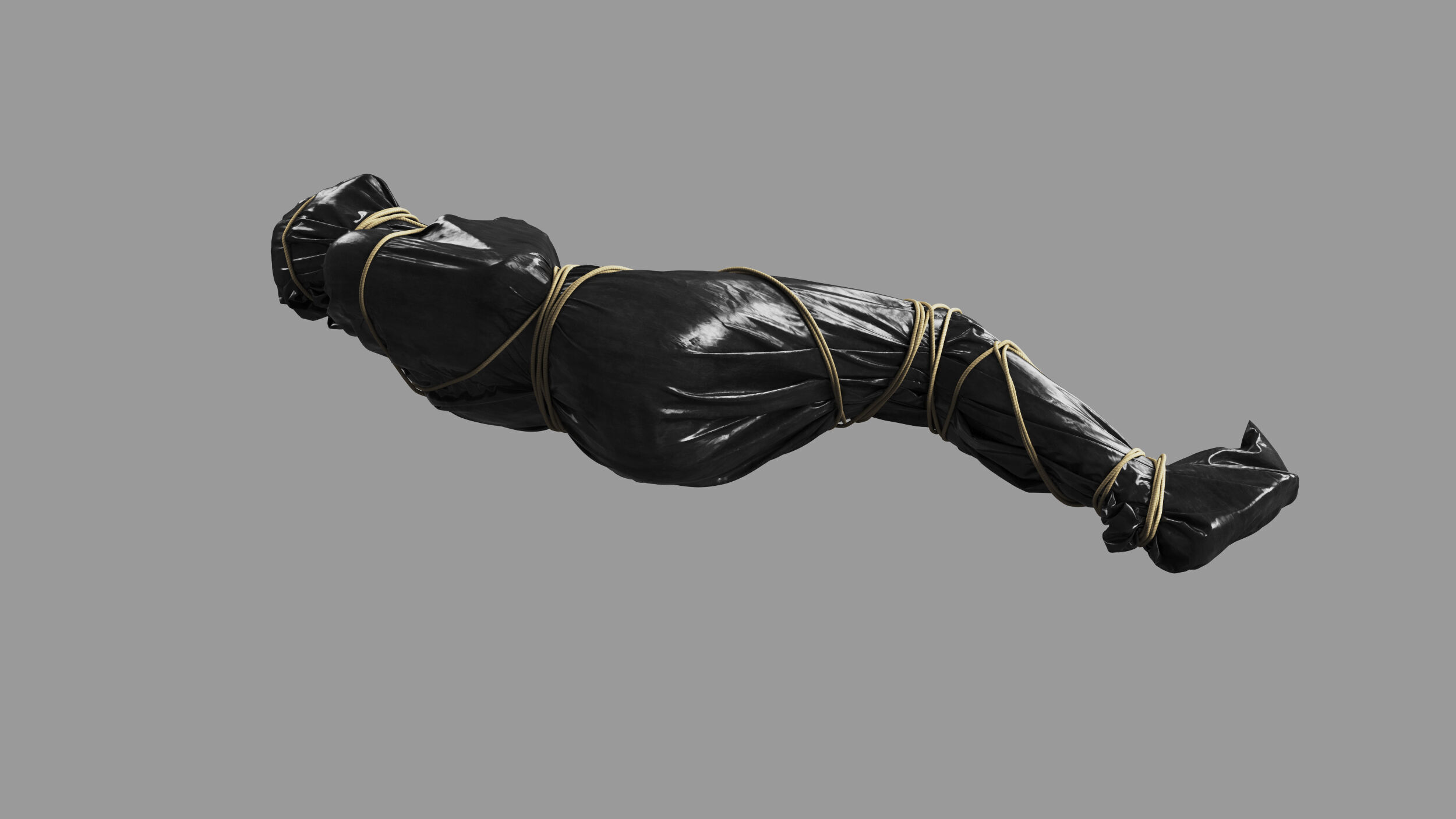 Covered Corpse 11 b 3D model_4