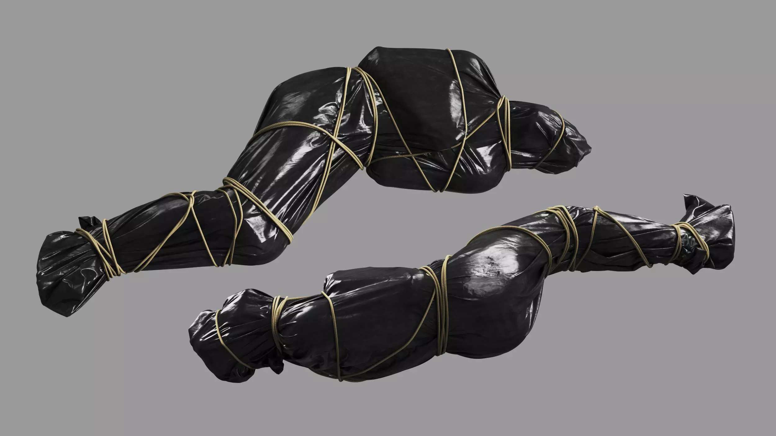 Covered Corpse 11 b 3D model_0