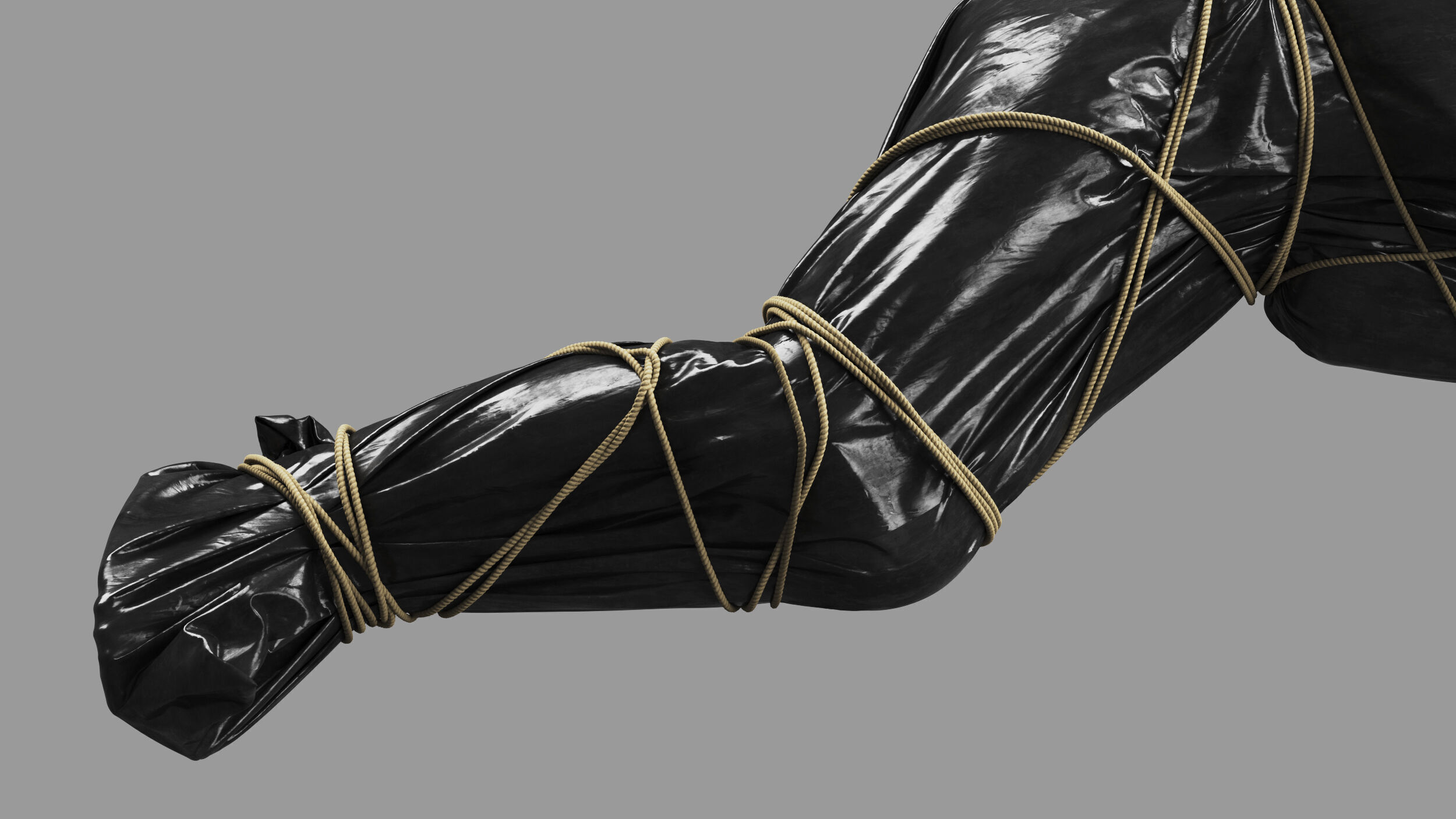 Covered Corpse 11 b 3D model_10