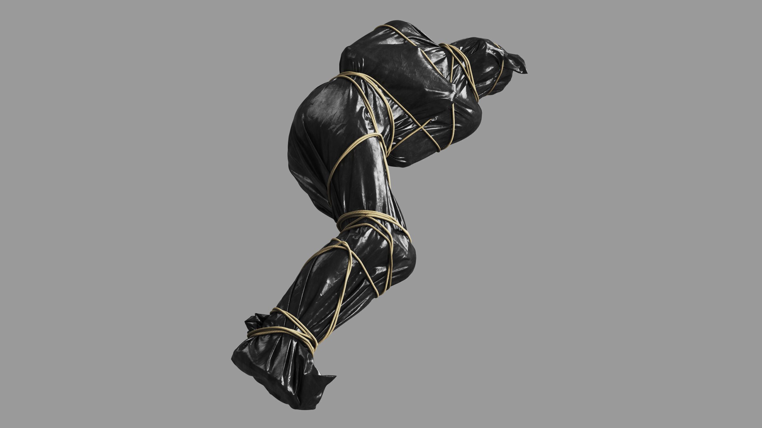 Covered Corpse 11 b 3D model_2