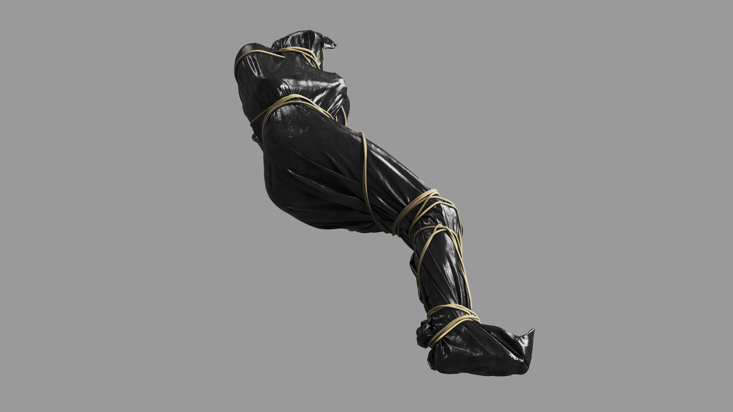 Covered Corpse 11 b 3D model_3