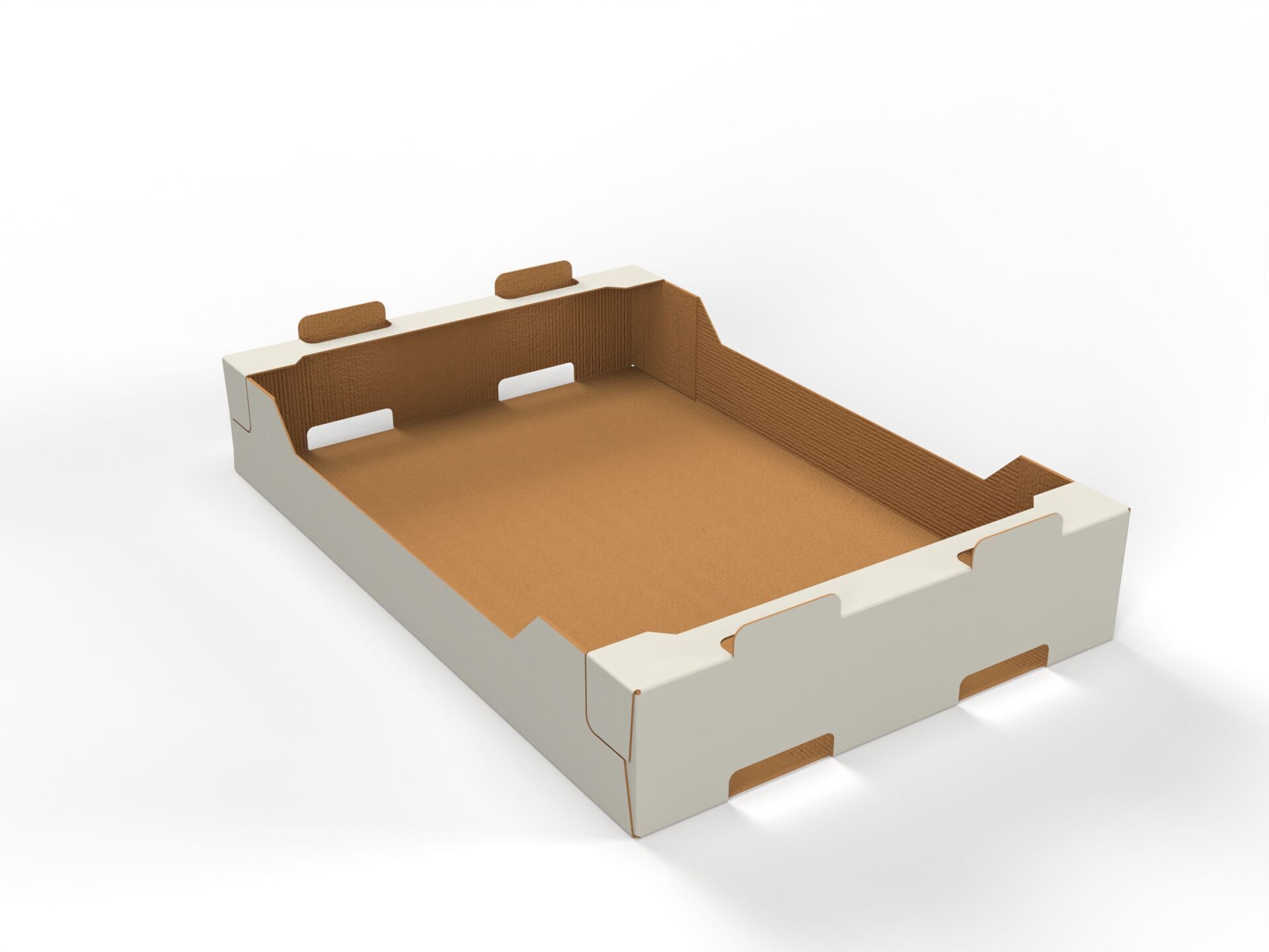 Cardboard Retail Display Tray for Product Packaging Merchandise Texture_2