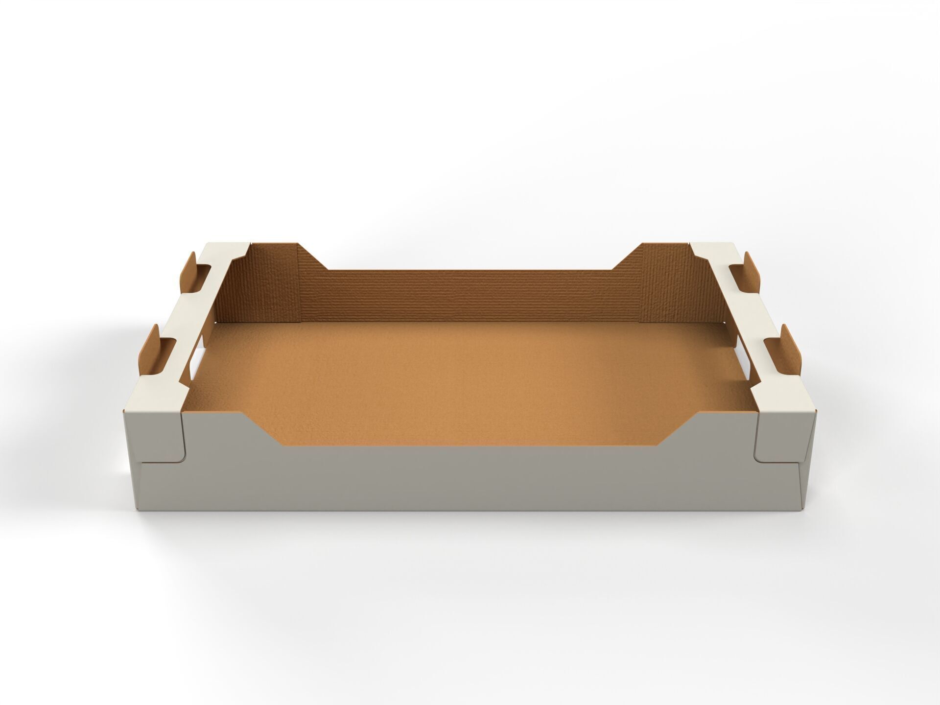 Cardboard Retail Display Tray for Product Packaging Merchandise Texture_1
