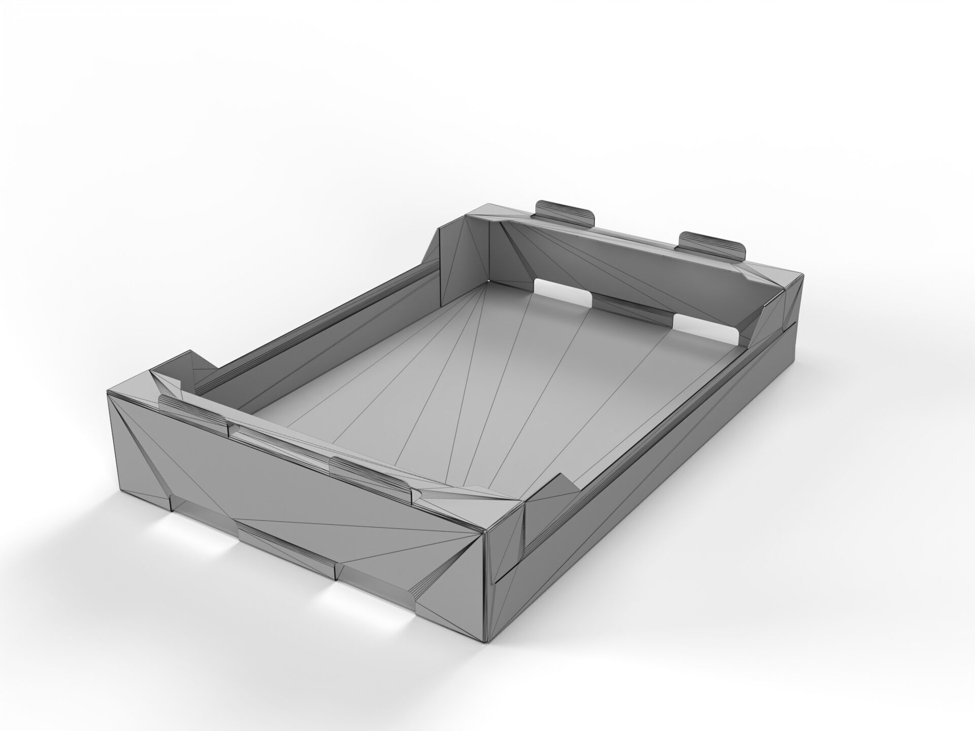 Cardboard Retail Display Tray for Product Packaging Merchandise Texture_3