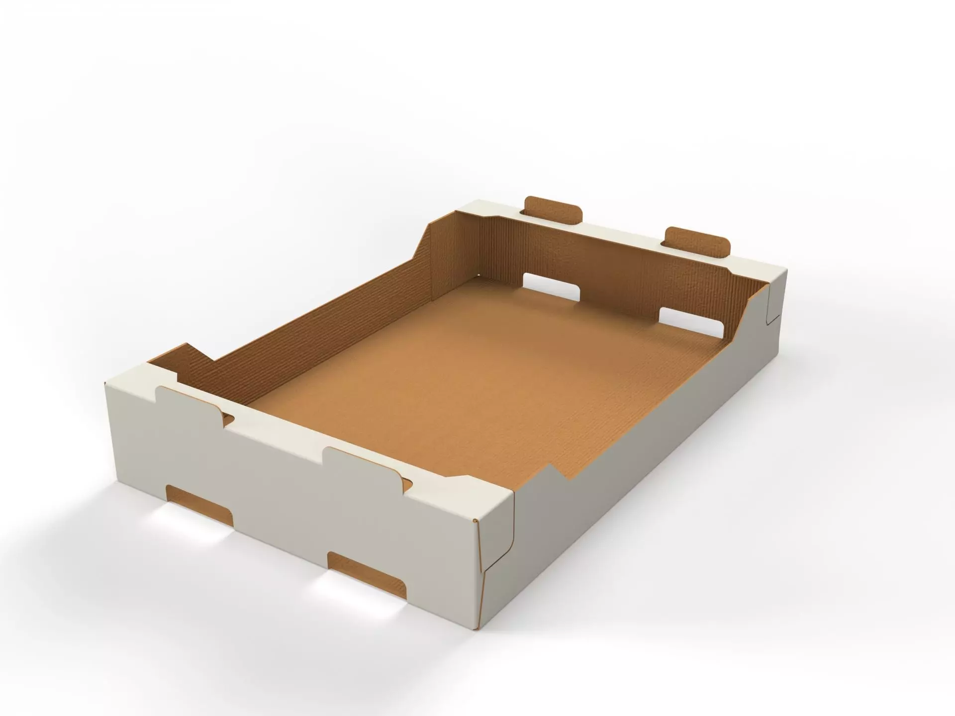 Cardboard Retail Display Tray for Product Packaging Merchandise Texture_0