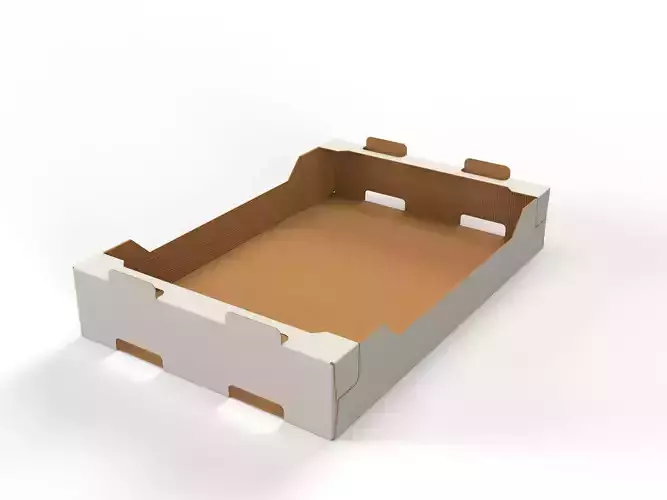 Cardboard Retail Display Tray for Product Packaging Merchandise Texture