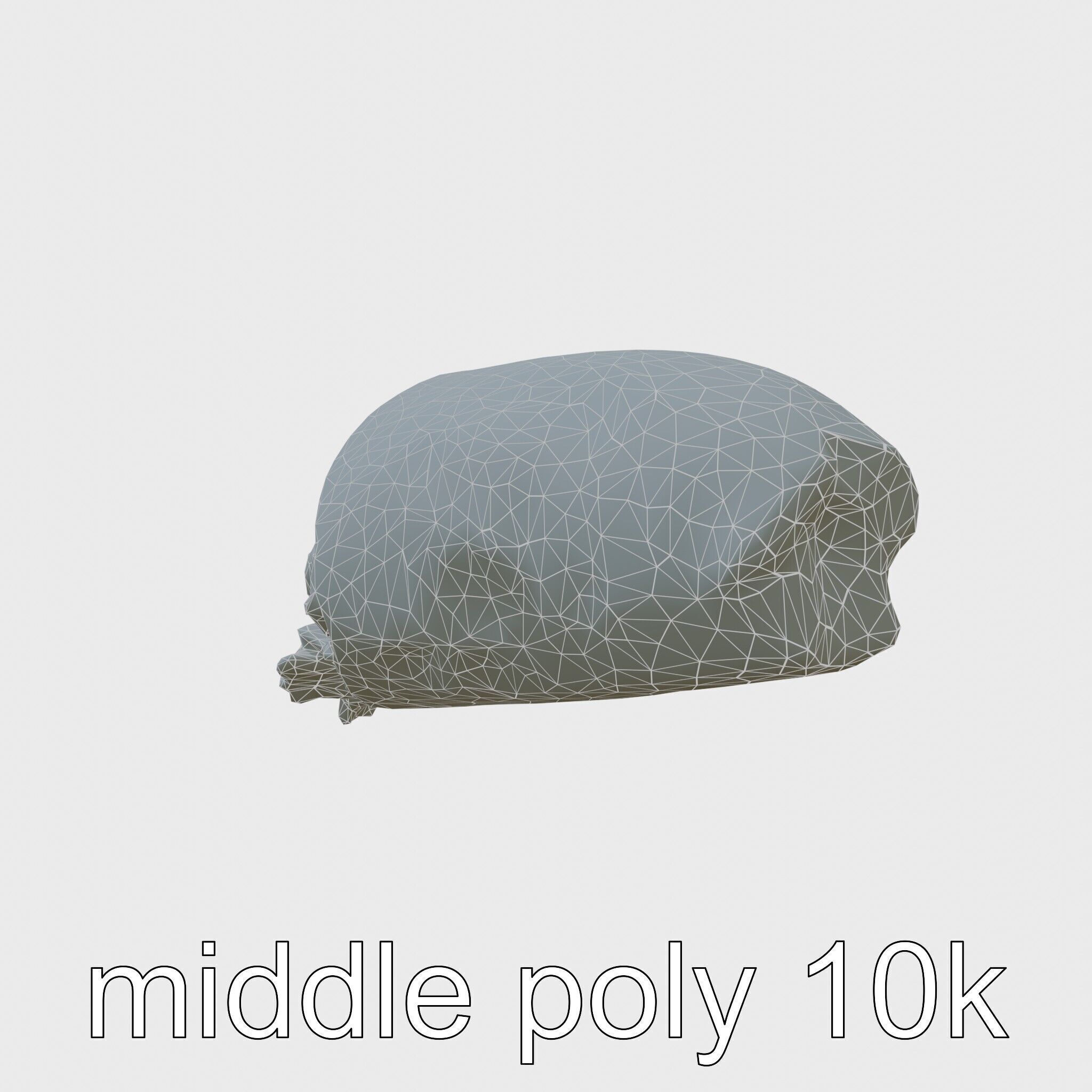 Loaded Chicken Avocado Wrap model pack Low-poly 3D model_31