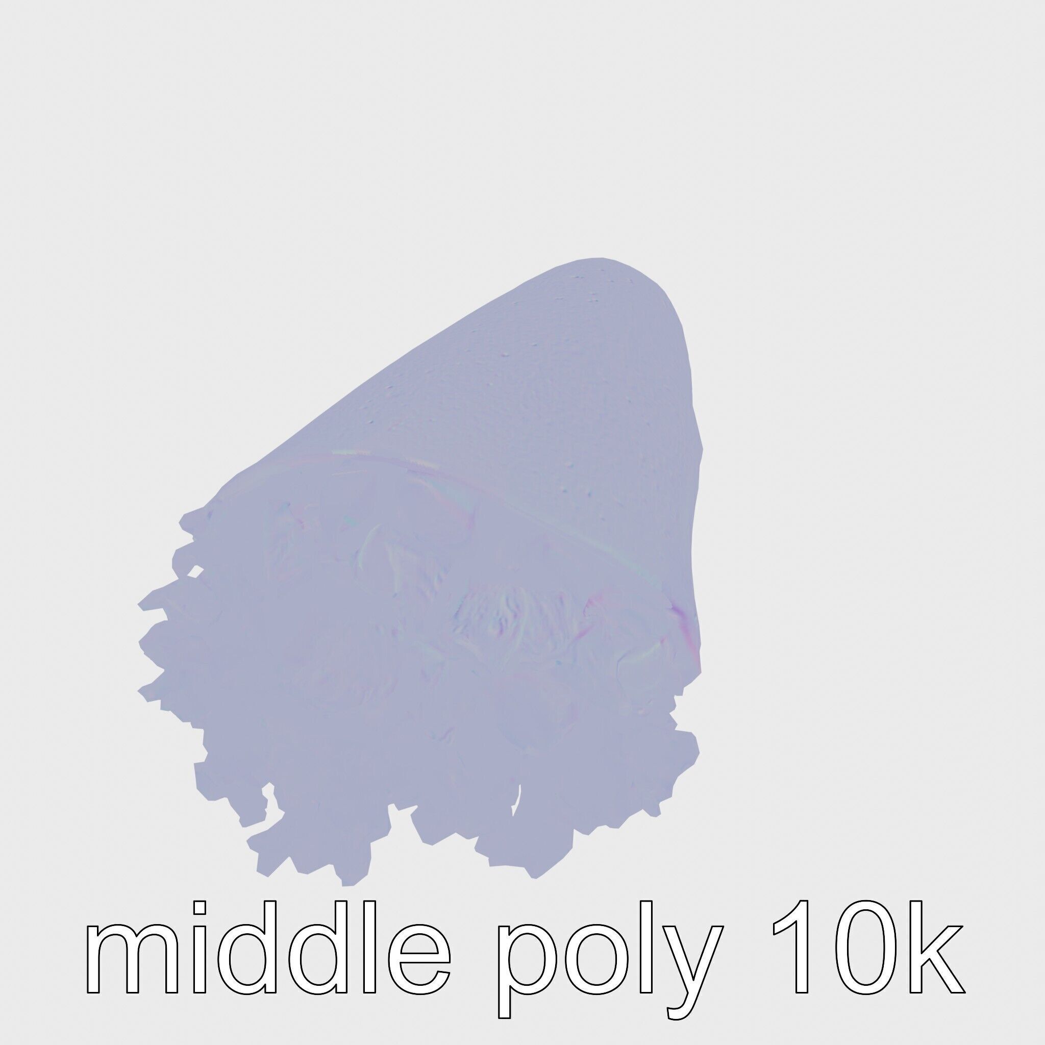 Loaded Chicken Avocado Wrap model pack Low-poly 3D model_14