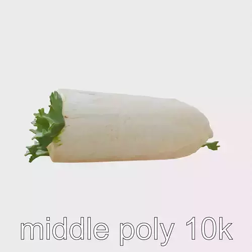 Sushi Burrito Fusion Wrap Model Pack