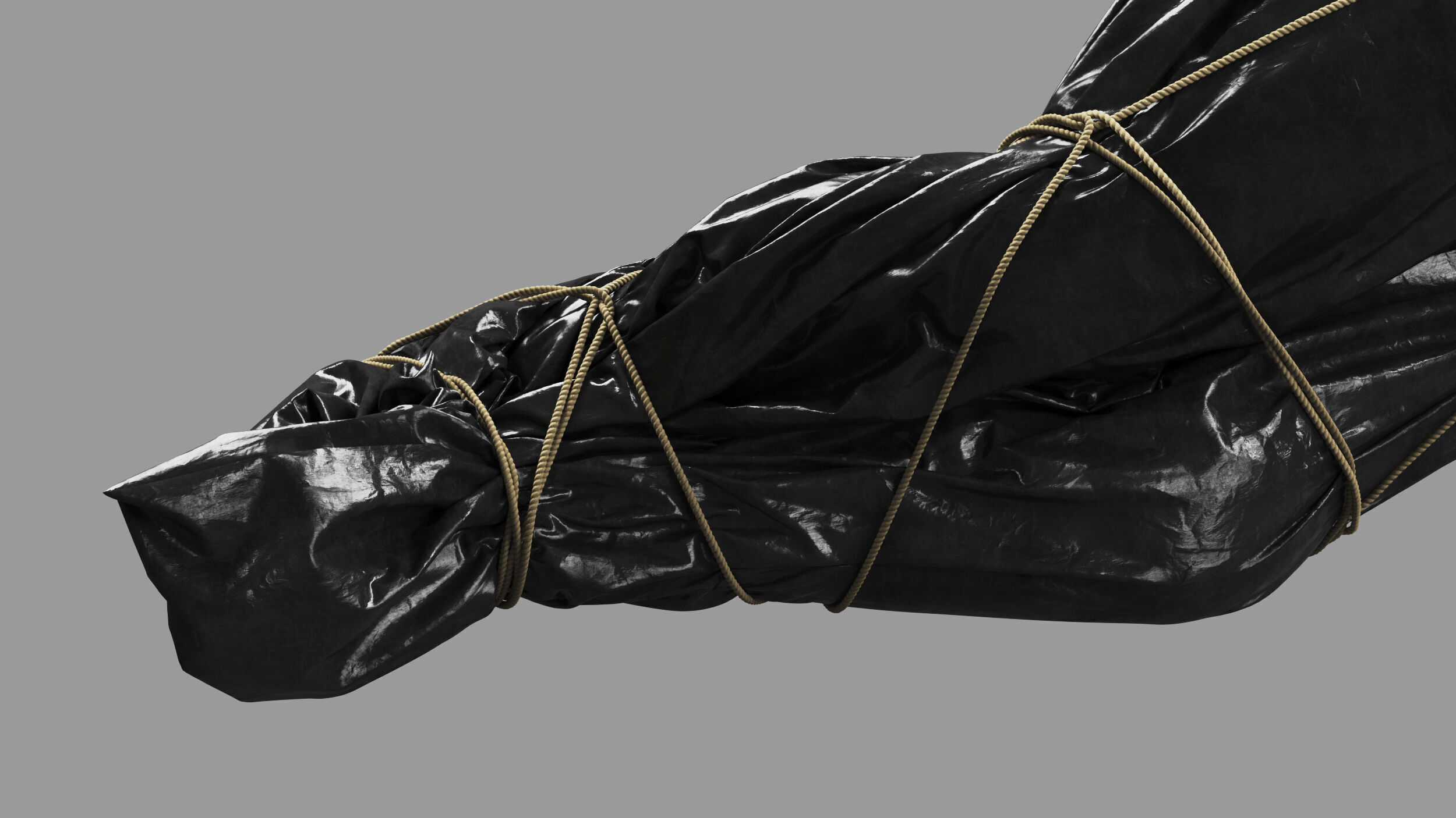 Covered Corpse 13 b 3D model_10