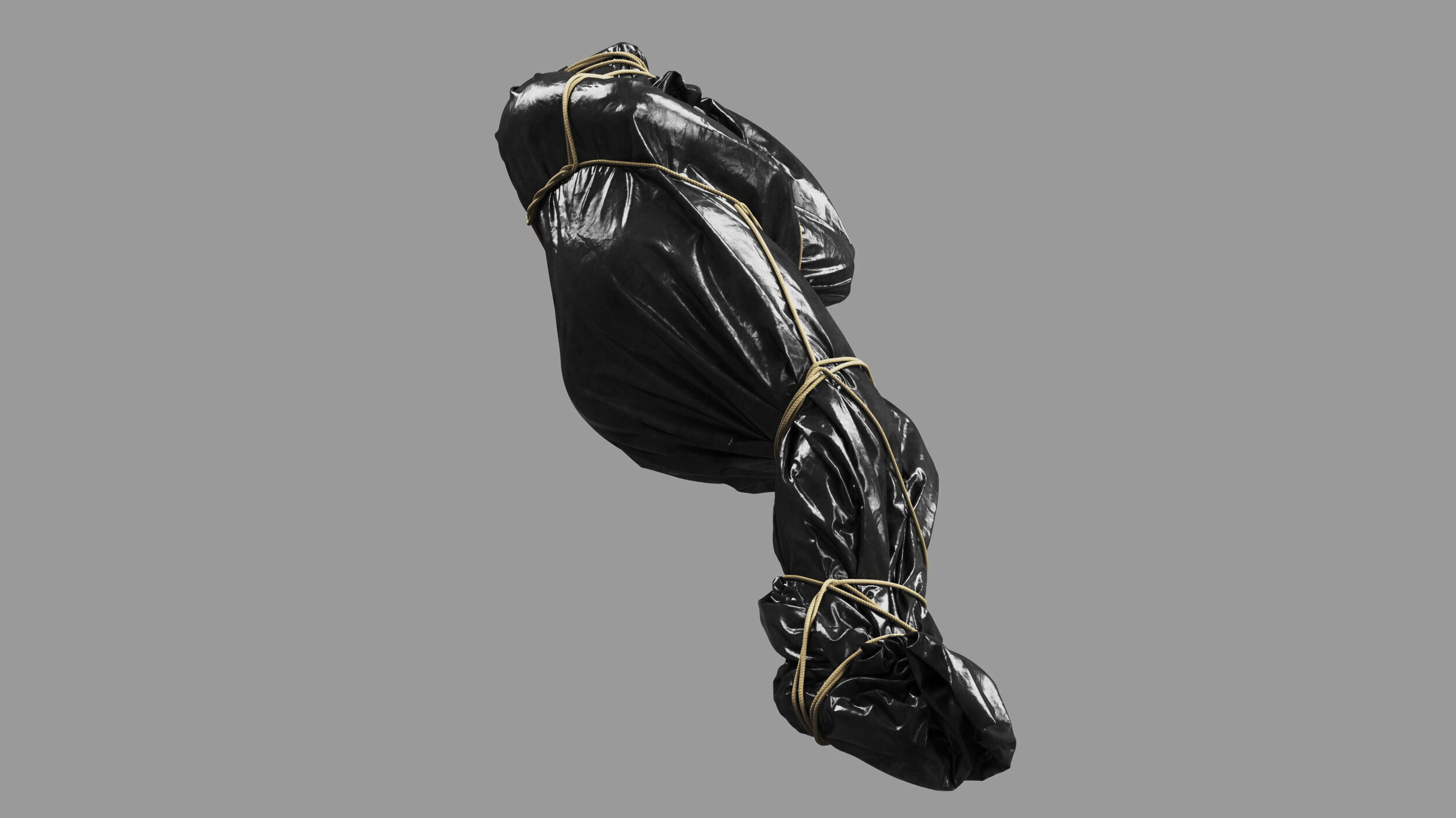 Covered Corpse 13 b 3D model_3