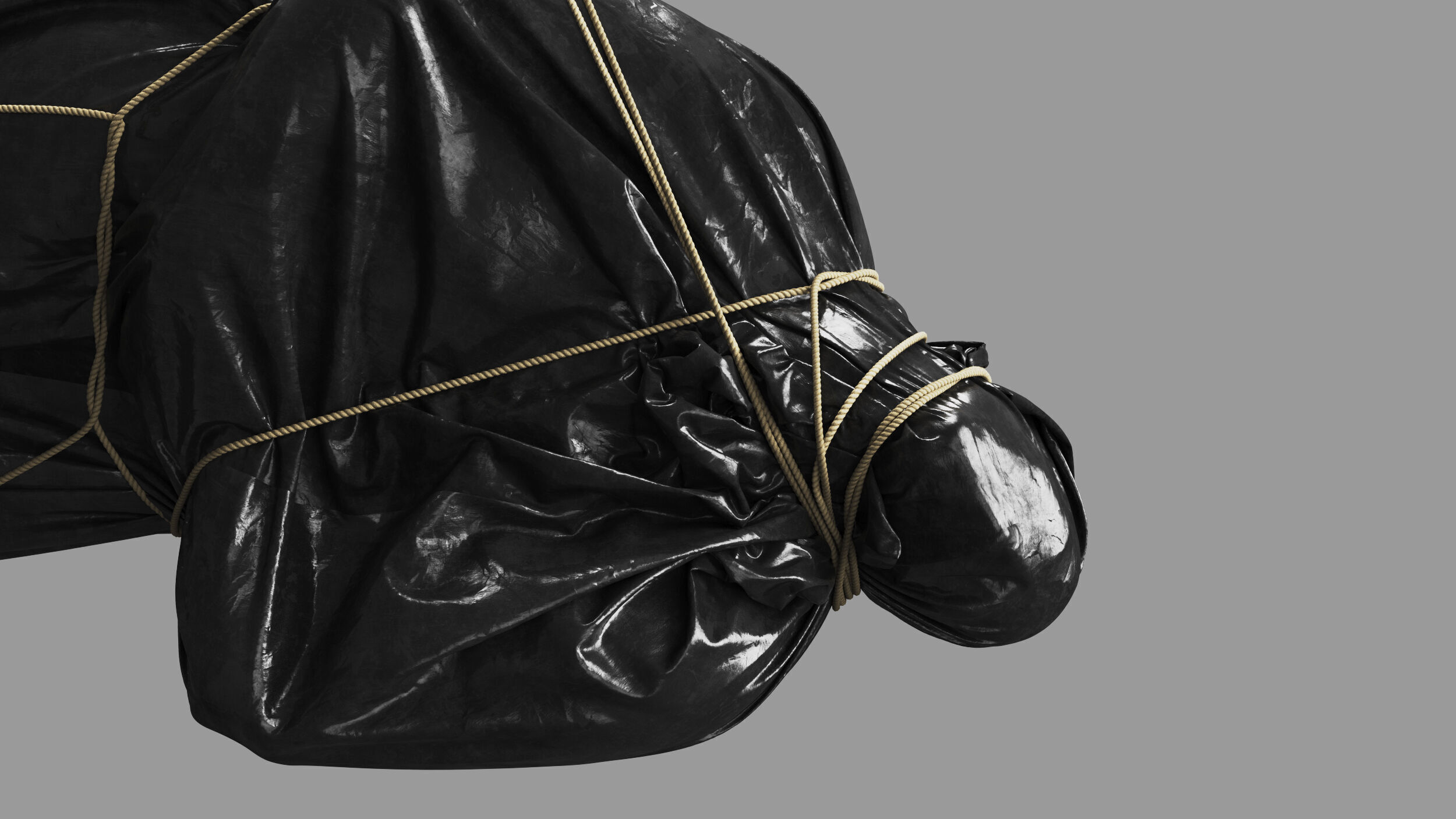 Covered Corpse 13 b 3D model_9