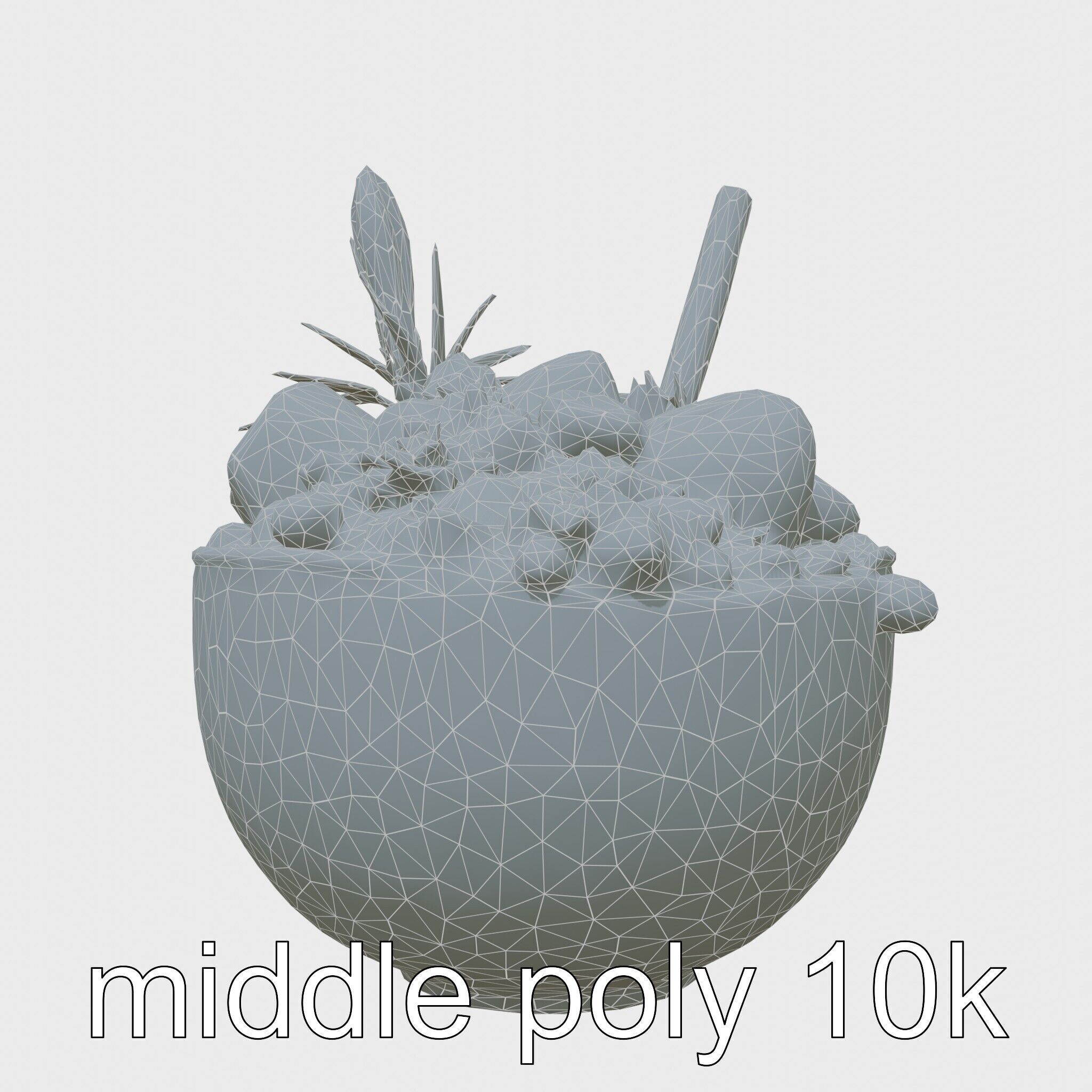 Tropical Smoothie Bowl 3D Model Pack Low-poly 3D model_31