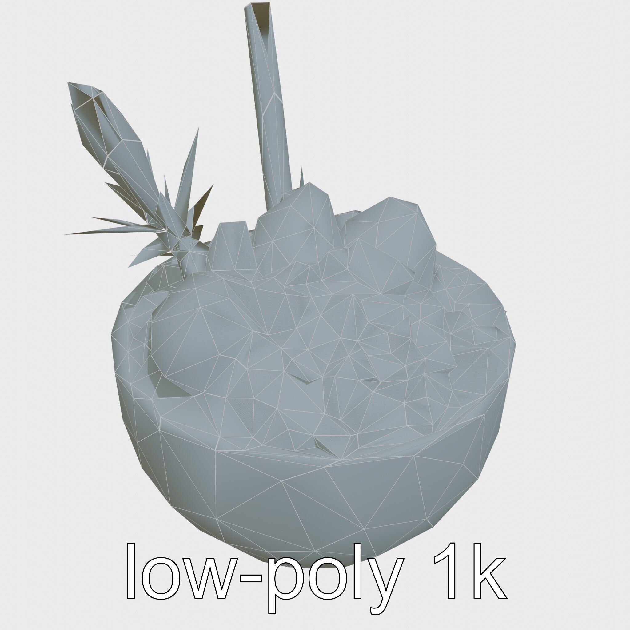 Tropical Smoothie Bowl 3D Model Pack Low-poly 3D model_25