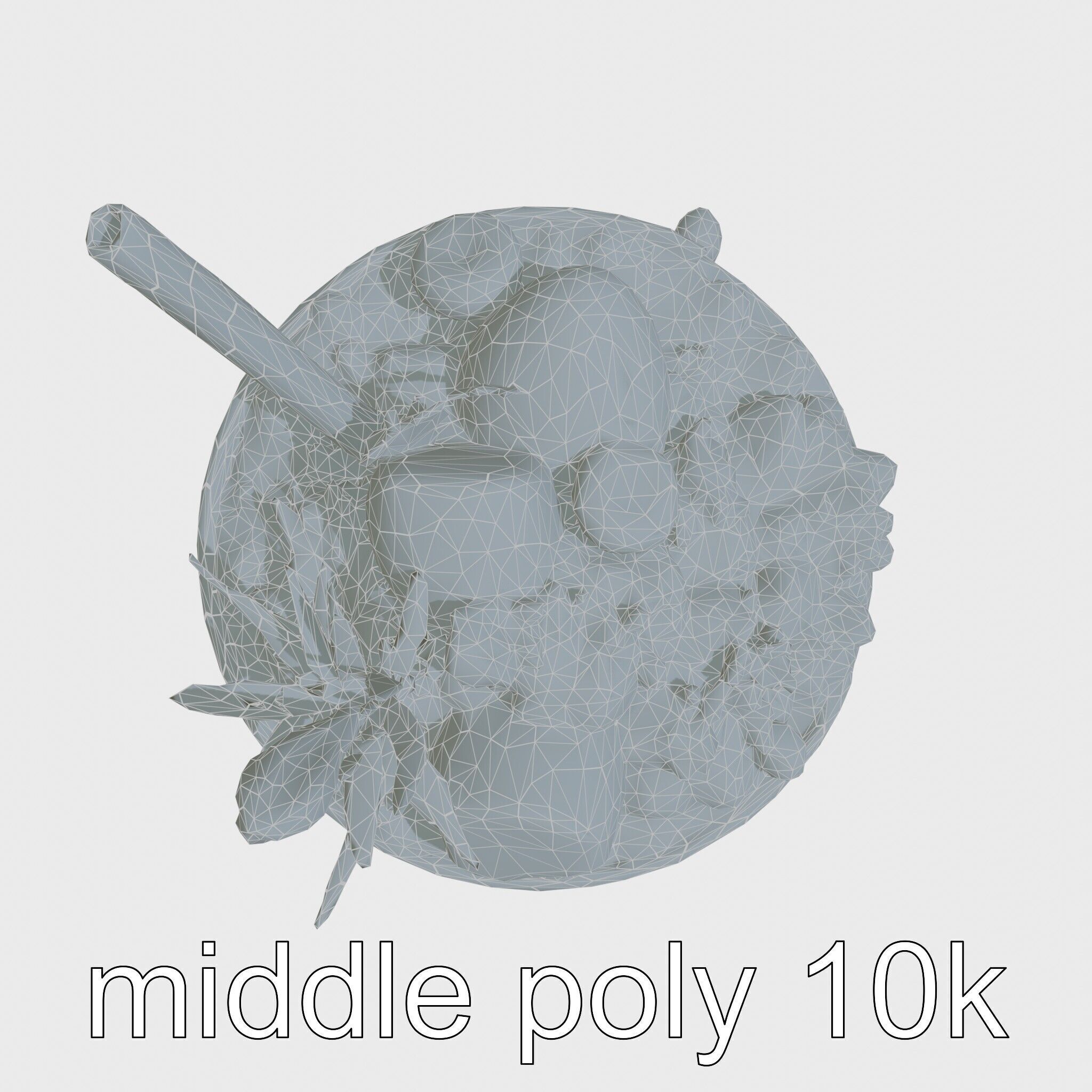 Tropical Smoothie Bowl 3D Model Pack Low-poly 3D model_15