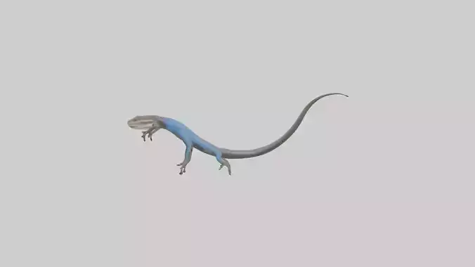 Skink darting model