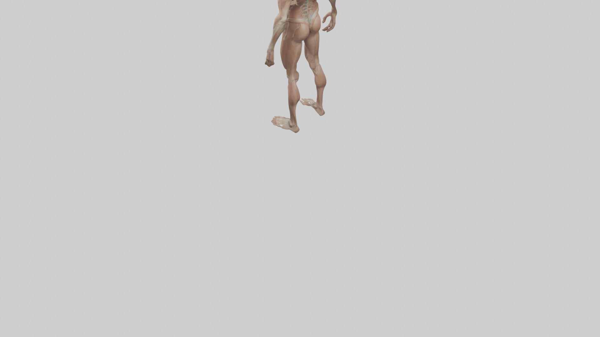Skinless man model 3D model_5