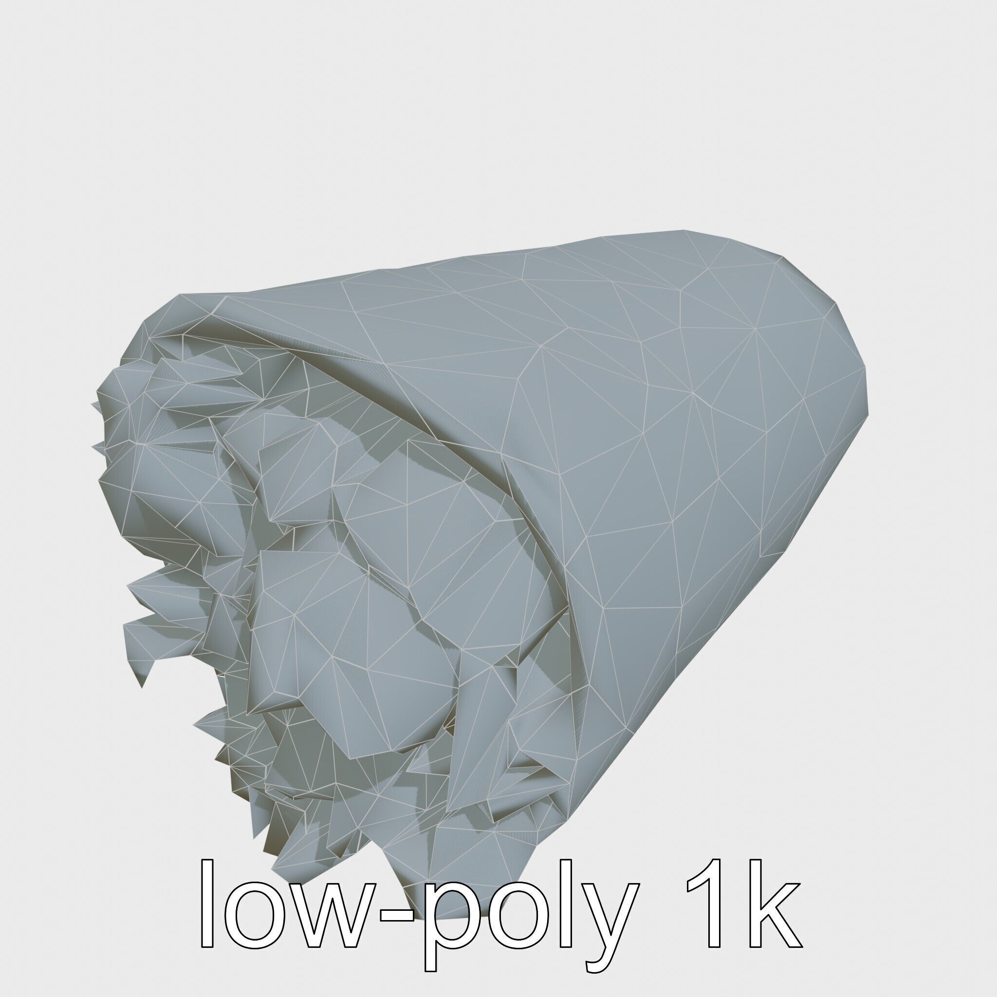 Chicken Gyro Wrap 3D model pack Low-poly 3D model_23