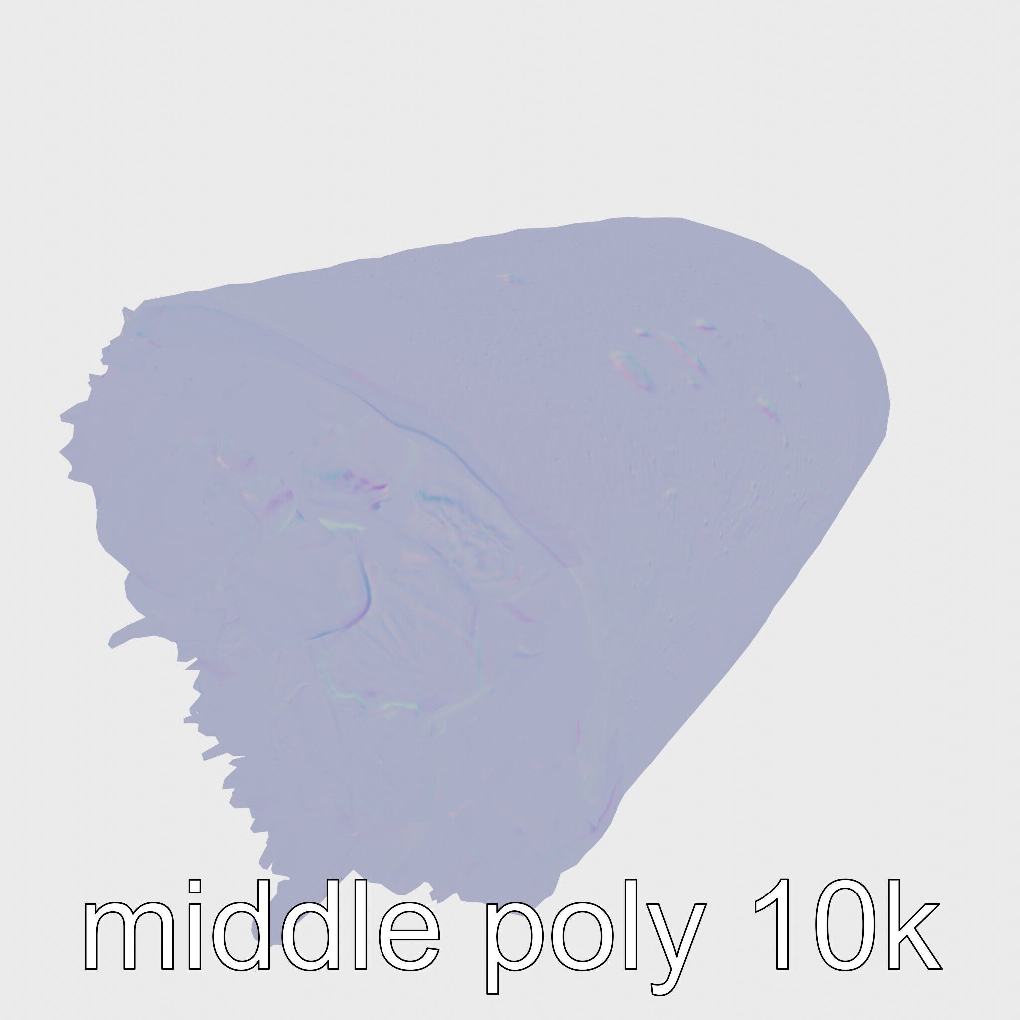 Chicken Gyro Wrap 3D model pack Low-poly 3D model_26