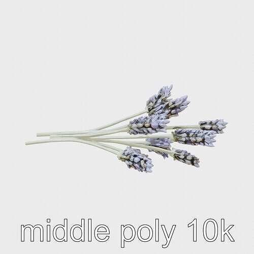 Chic Lavender Trio Flower Arrangement model pack Low-poly 3D model