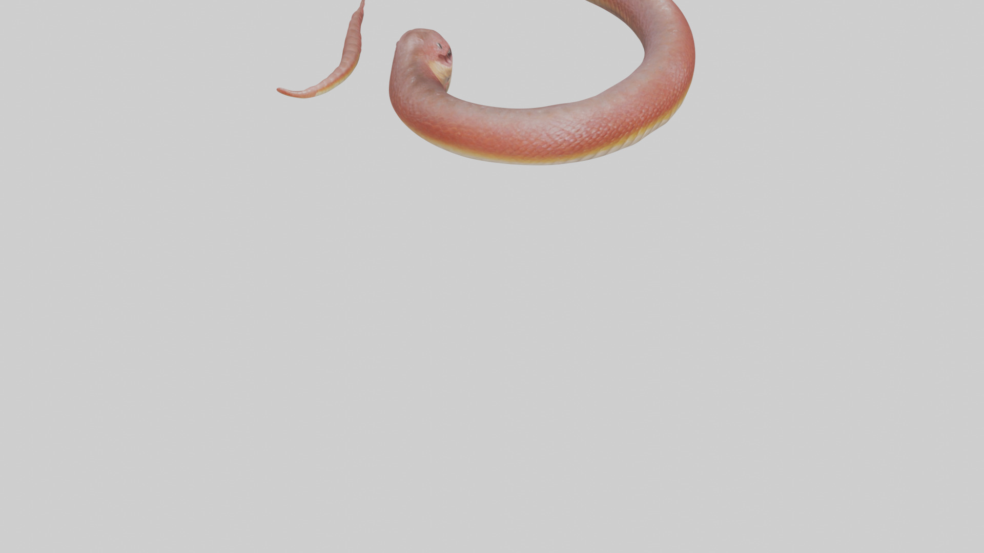 Slithering worm model 3D model_6