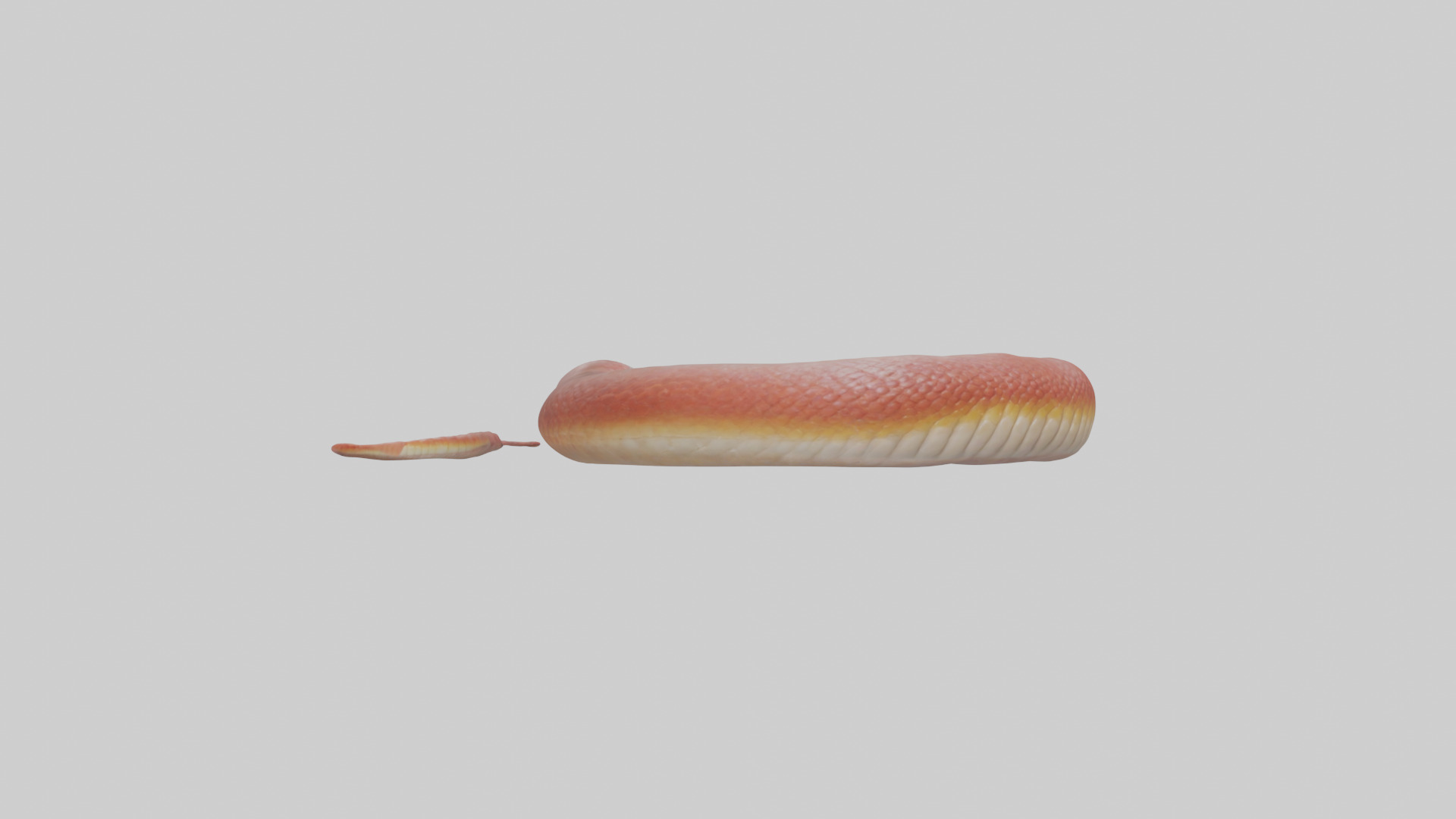 Slithering worm model 3D model_7