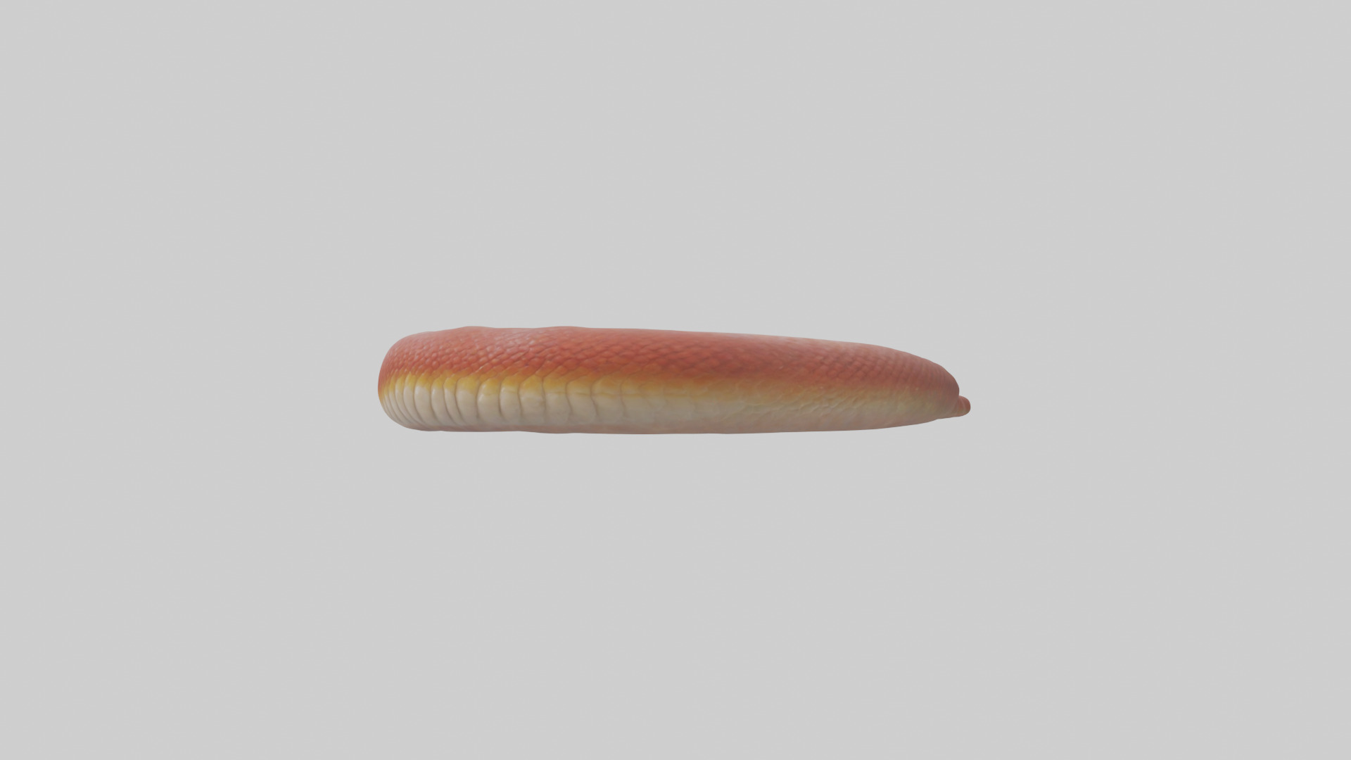 Slithering worm model 3D model_10