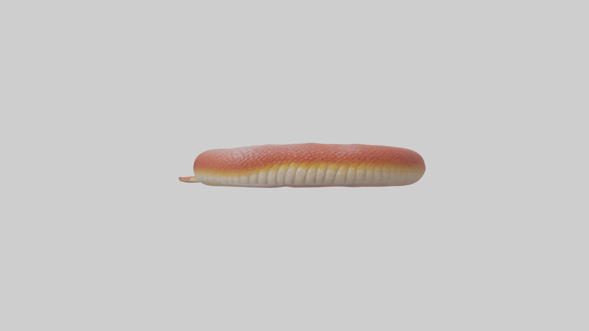 Slithering worm model 3D model_9