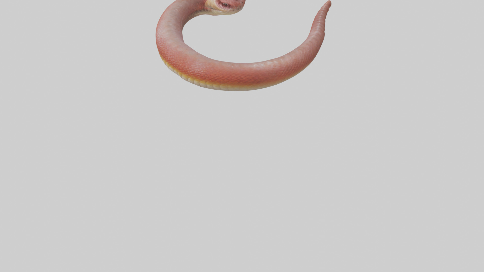 Slithering worm model 3D model_5