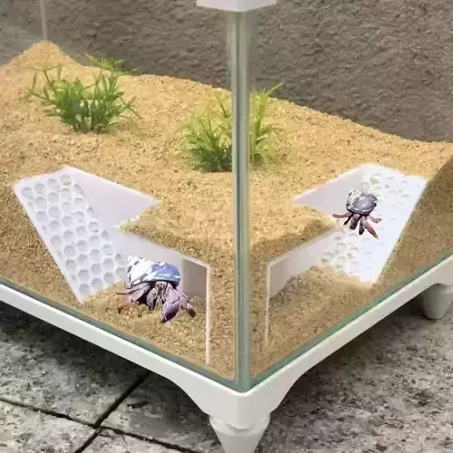 Tunel para peces 8 - acuario - pecera