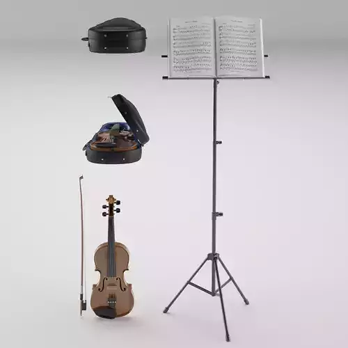 The Violin With Case