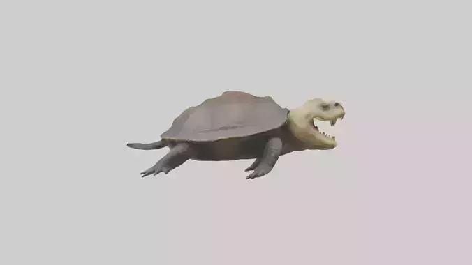 Snapping Turtle biting model