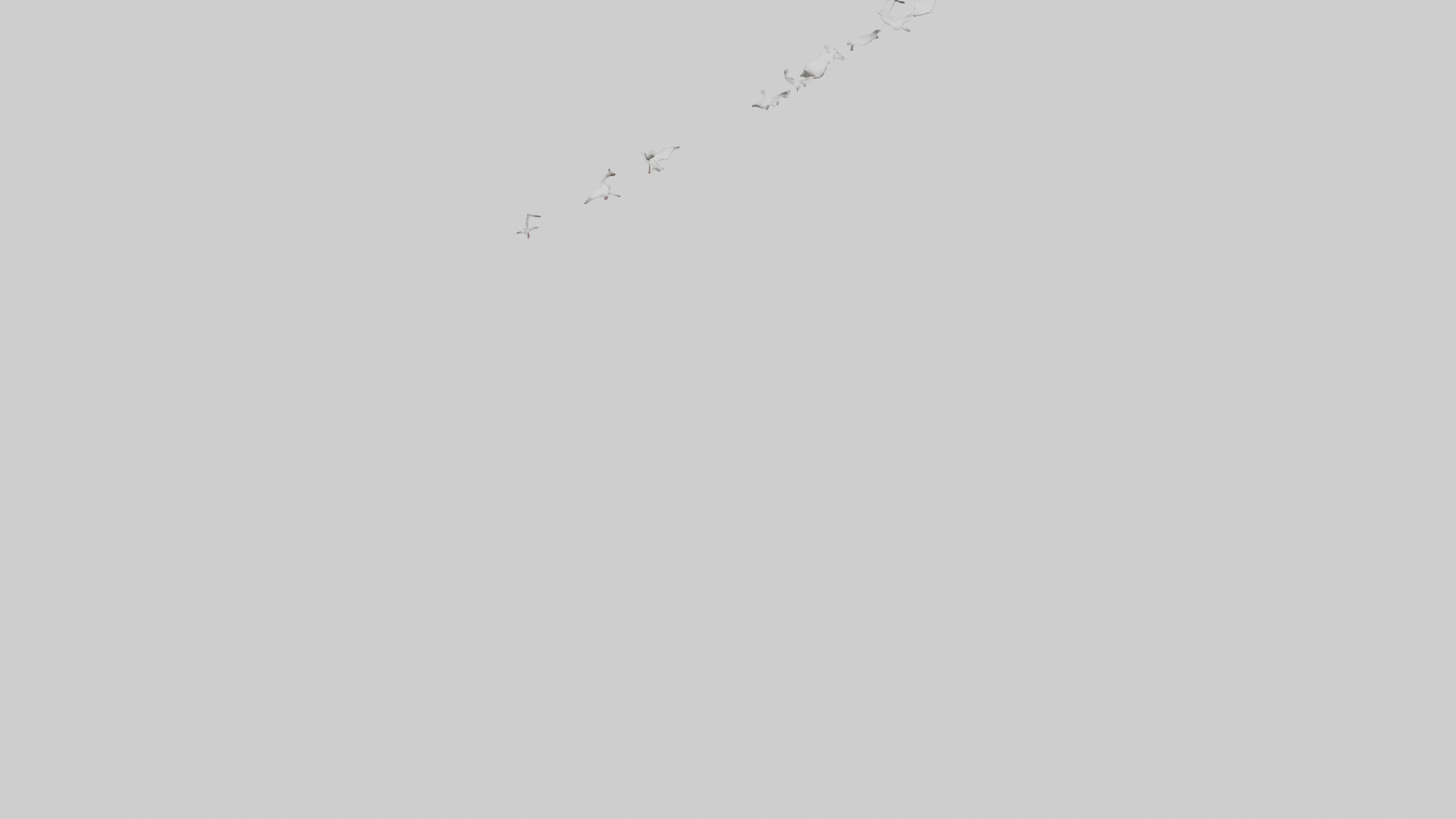 Snow Goose migrating model 3D model_3