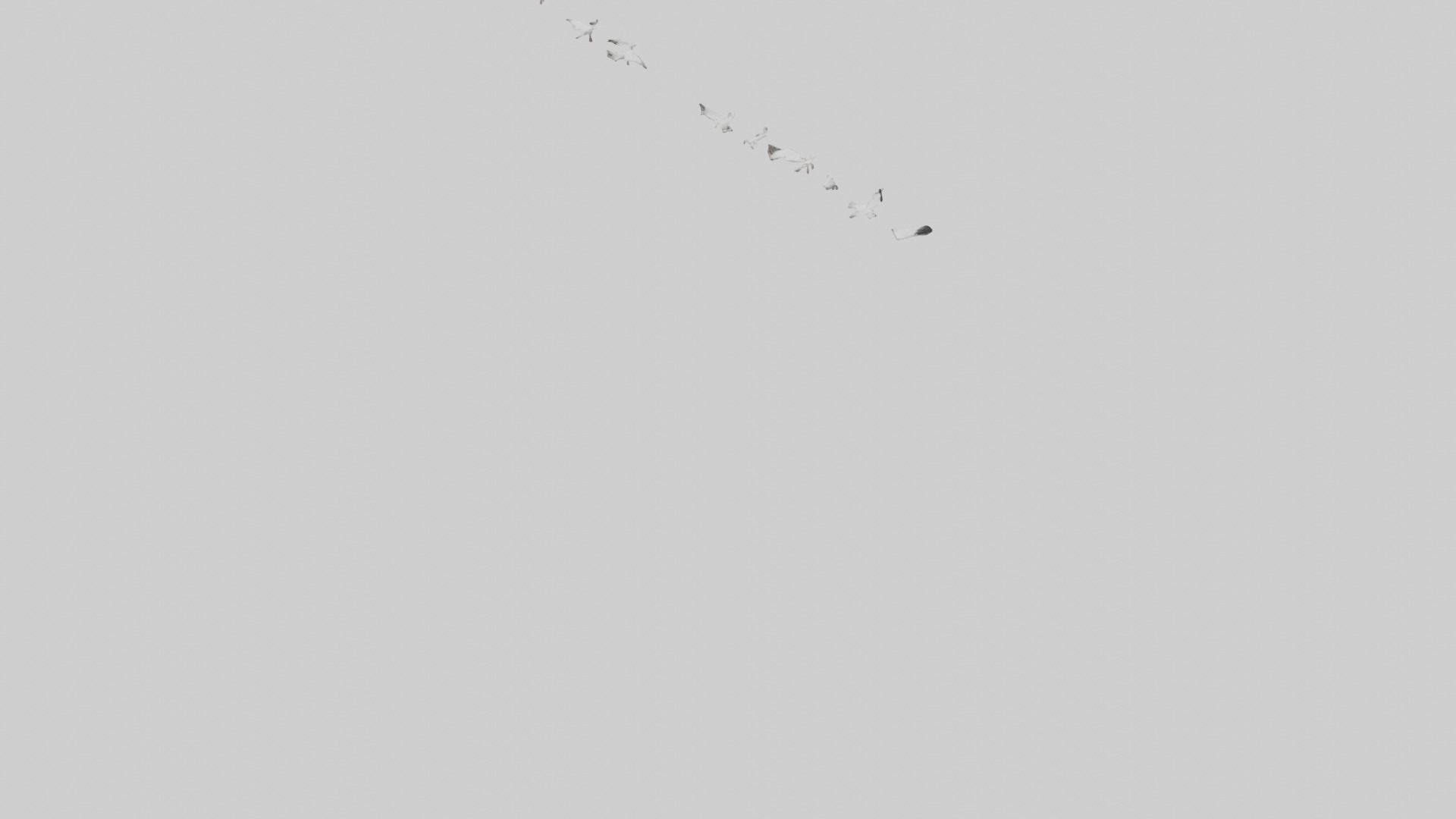 Snow Goose migrating model 3D model_4