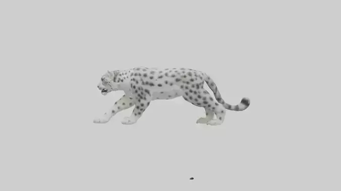 Snow Leopard hunting model