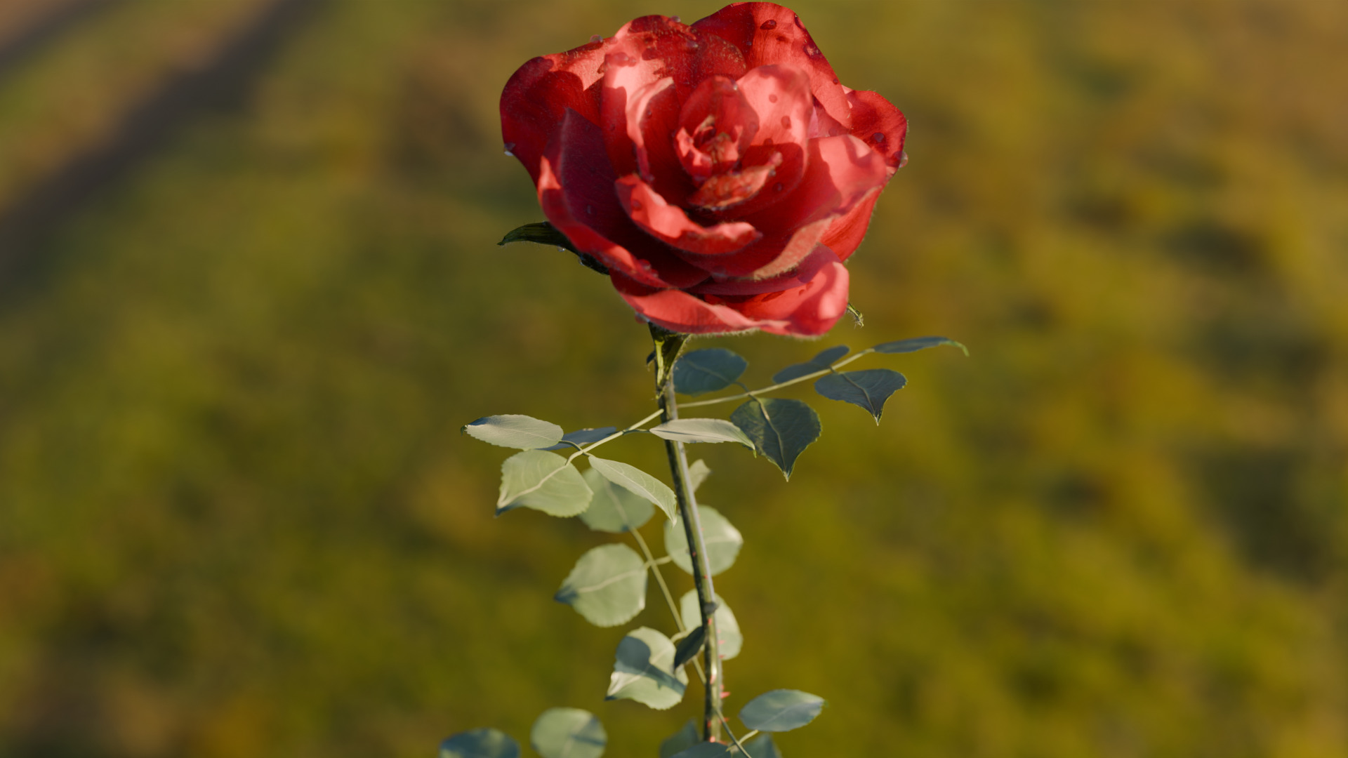 Realistic Rose Animated 3D model animated | CGTrader