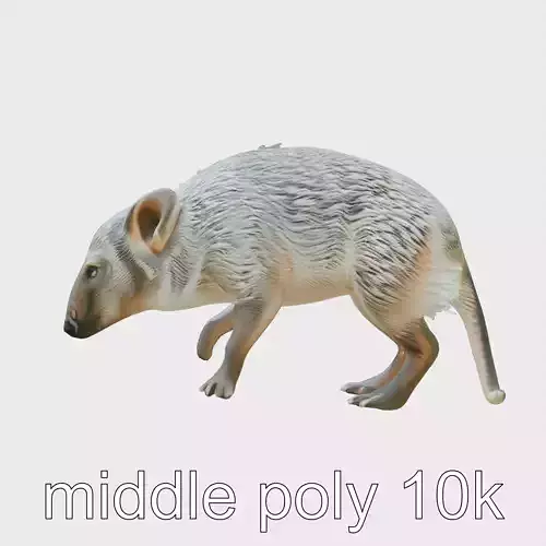 Savanna Survivor Aardvark Realistic model pack Low-poly 3D model