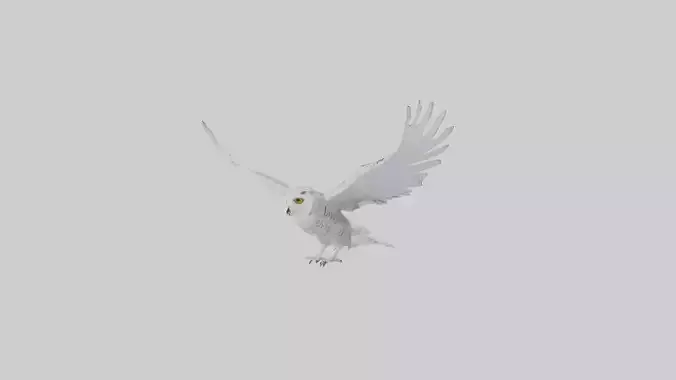 Snowy Owl hunting model