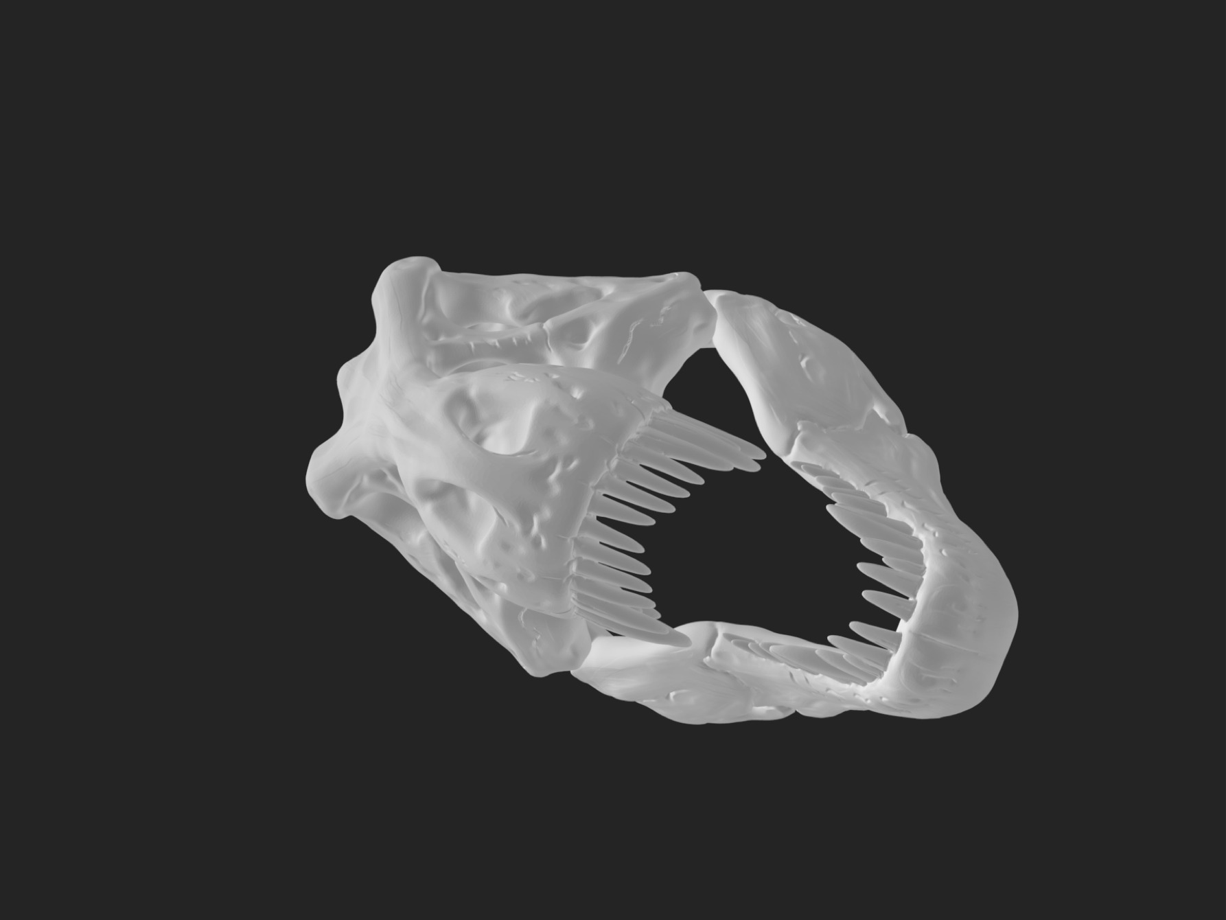 Tyrannosaurus Rex Skull Model 3D print model_2