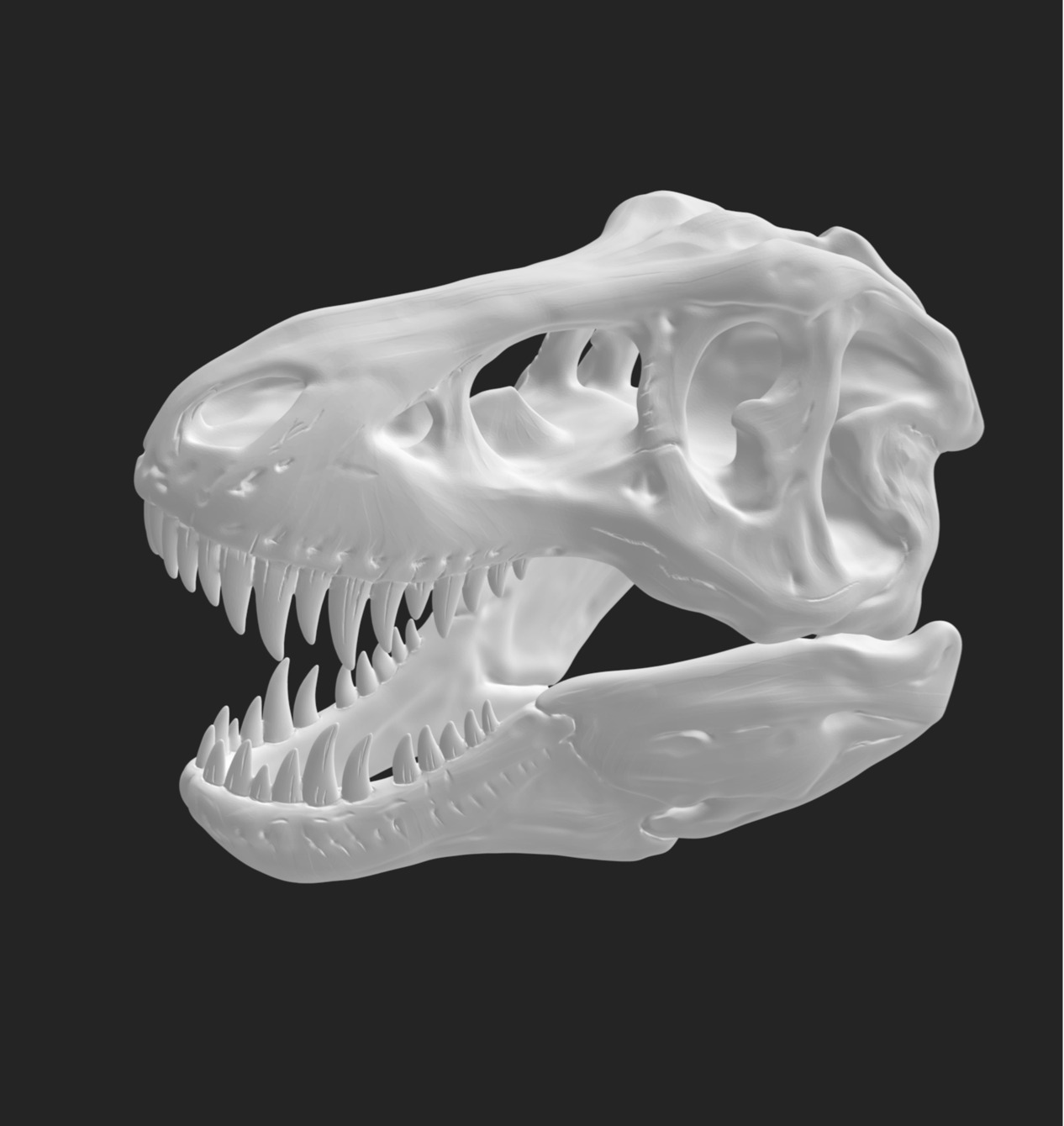 Tyrannosaurus Rex Skull Model 3D print model_1