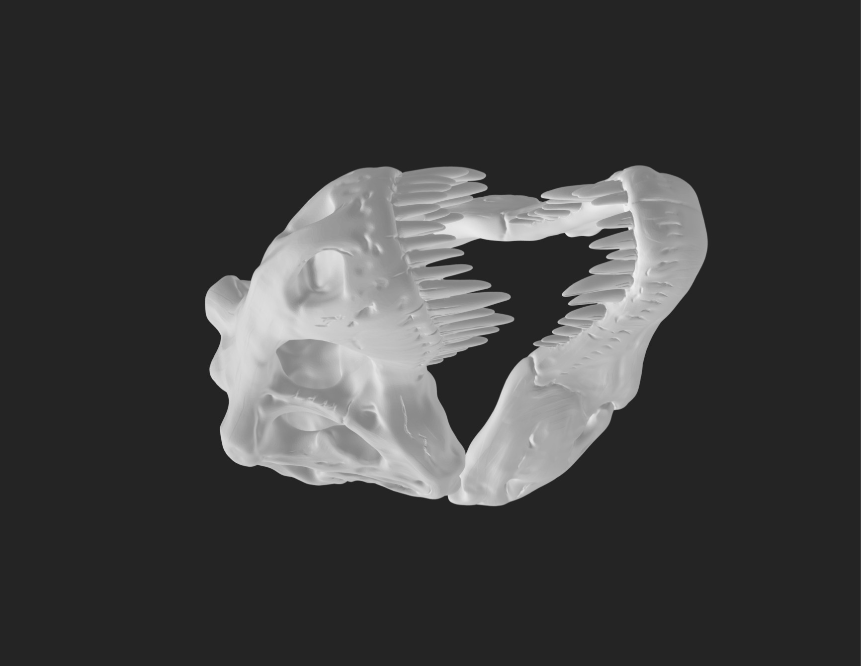 Tyrannosaurus Rex Skull Model 3D print model_3