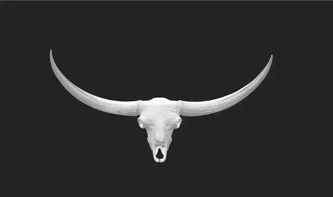 3D Printed Bison Skull Model 3D print model
