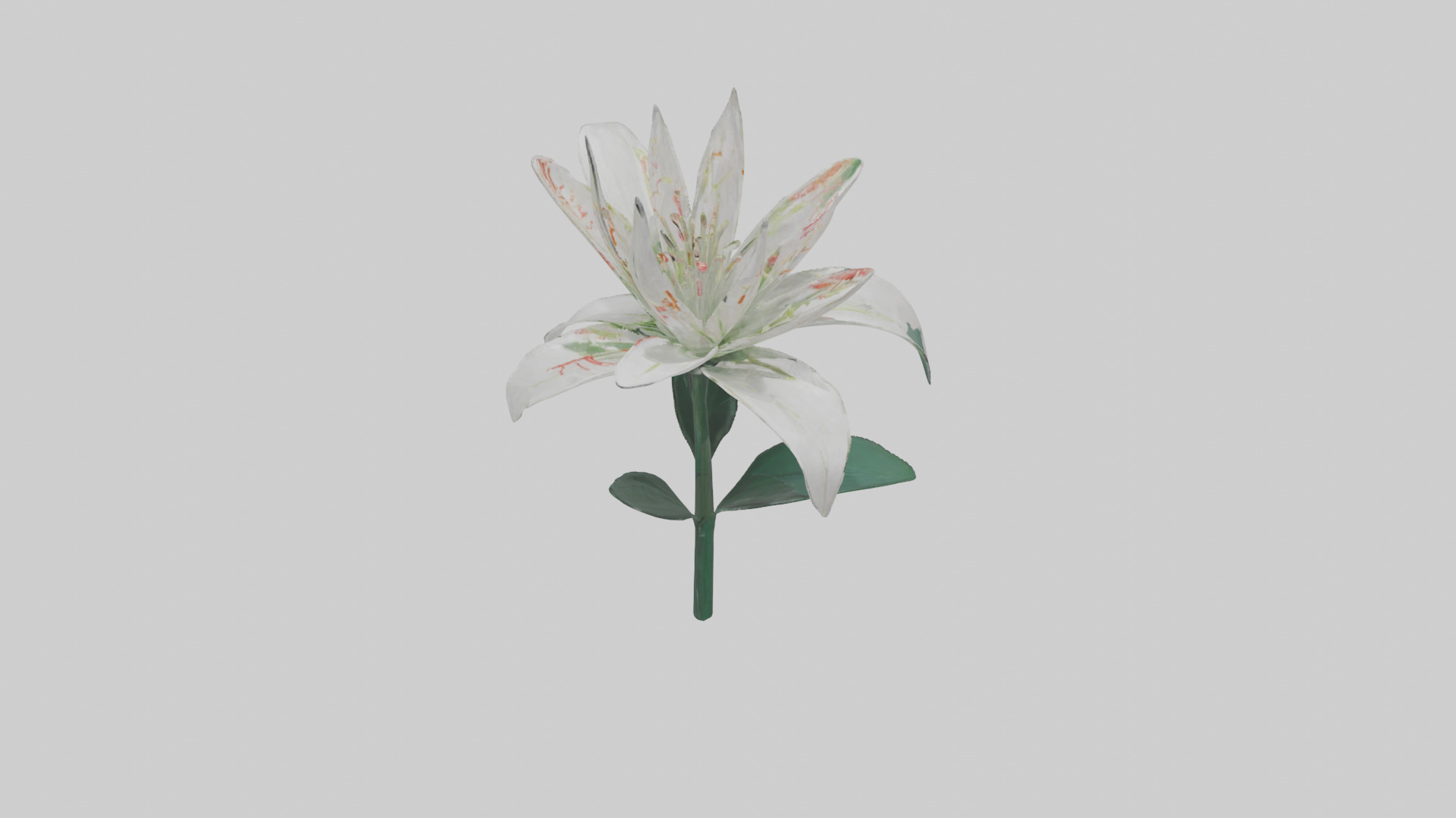 Spider Lily model 3D model_17