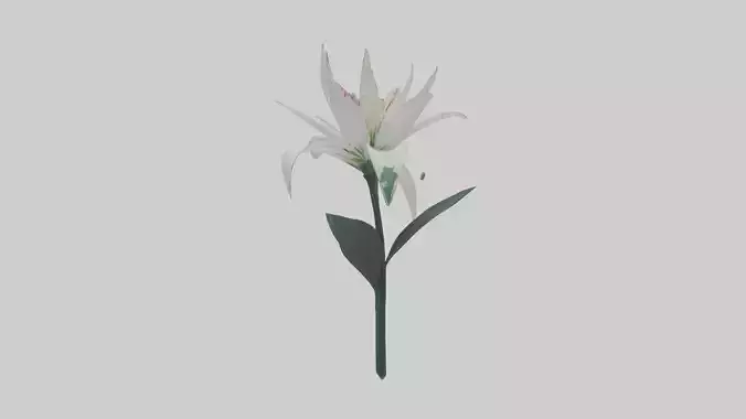 Spider Lily model