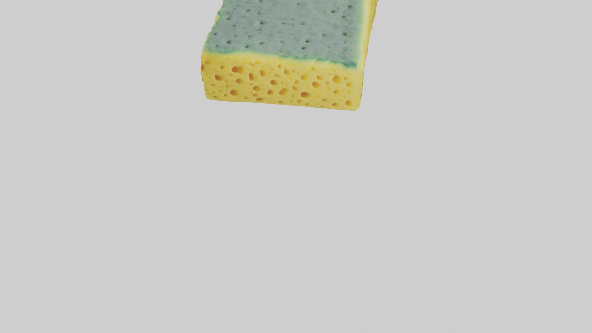 Sponge model 3D model_5
