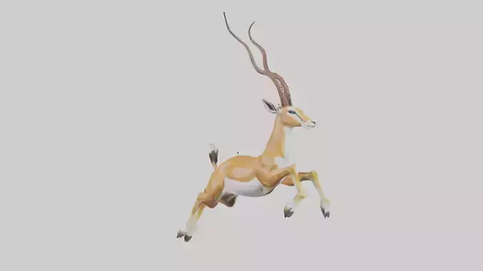 Springbok hopping model