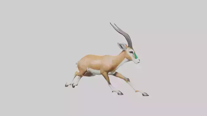 Springbok running model